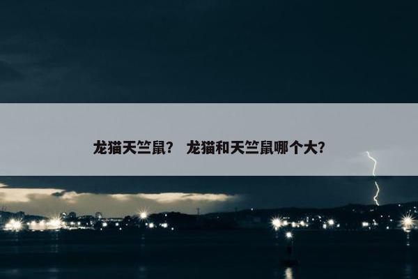 龙猫天竺鼠？ 龙猫和天竺鼠哪个大？