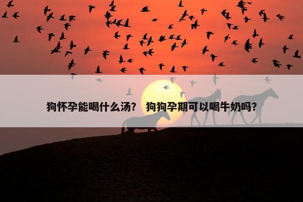 狗怀孕能喝什么汤？ 狗狗孕期可以喝牛奶吗？