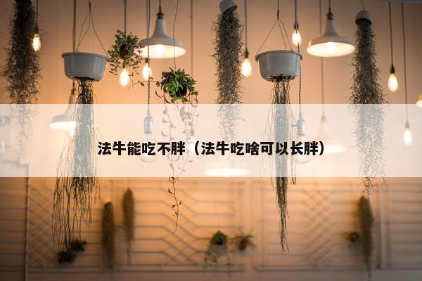 法牛能吃不胖（法牛吃啥可以长胖）