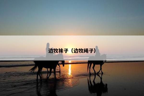 边牧袜子(边牧绳子)