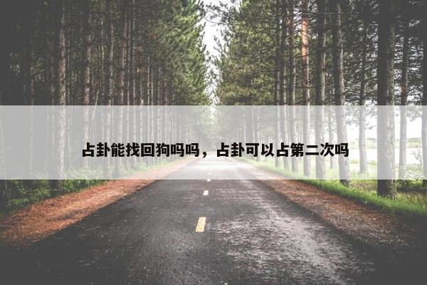 占卦能找回狗吗吗，占卦可以占第二次吗