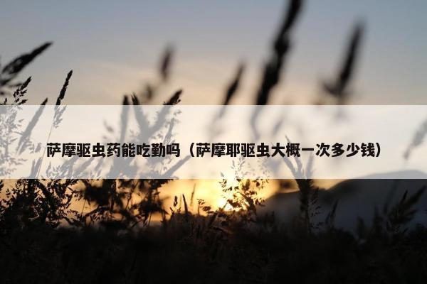 萨摩驱虫药能吃勤吗（萨摩耶驱虫大概一次多少钱）