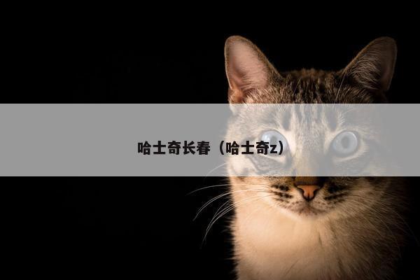 哈士奇长春（哈士奇z）