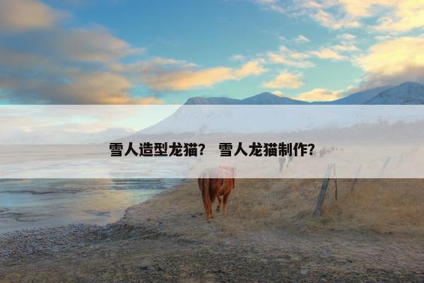 雪人造型龙猫？ 雪人龙猫制作？