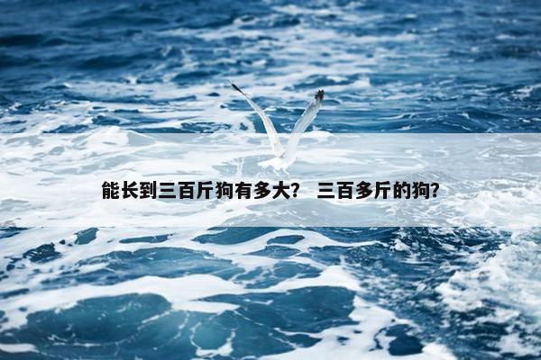 能长到三百斤狗有多大？ 三百多斤的狗？