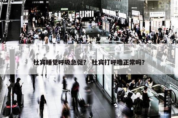 杜宾睡觉呼吸急促? 杜宾打呼噜正常吗?