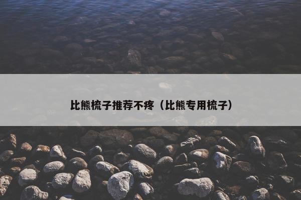 比熊梳子推荐不疼（比熊专用梳子）