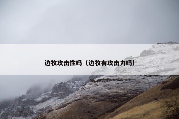 边牧攻击性吗（边牧有攻击力吗）