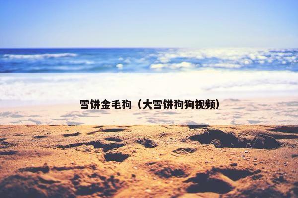 雪饼金毛狗（大雪饼狗狗视频）