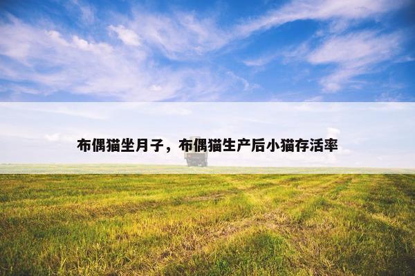 布偶猫坐月子，布偶猫生产后小猫存活率