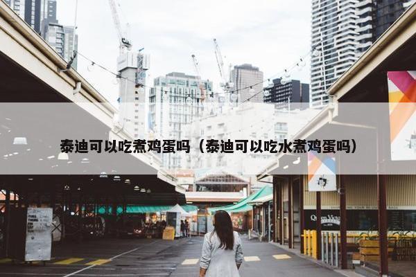 泰迪可以吃煮鸡蛋吗(泰迪可以吃水煮鸡蛋吗)