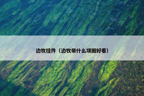 边牧挂件（边牧带什么项圈好看）
