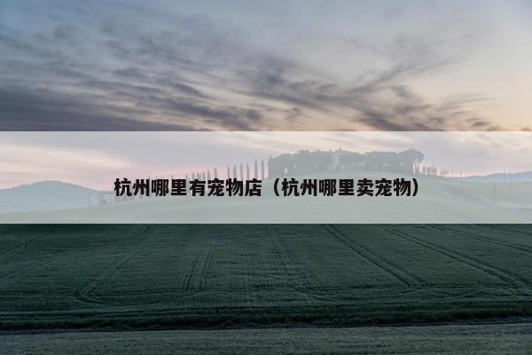 杭州哪里有宠物店（杭州哪里卖宠物）