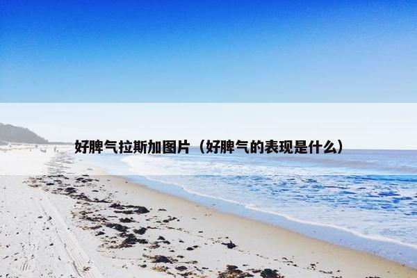 好脾气拉斯加图片(好脾气的表现是什么)