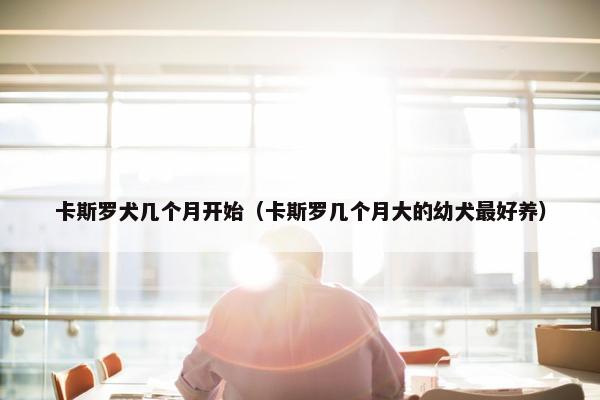 卡斯罗犬几个月开始（卡斯罗几个月大的幼犬最好养）