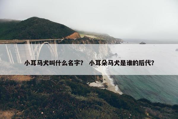 小耳马犬叫什么名字？ 小耳朵马犬是谁的后代？