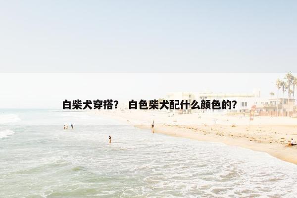白柴犬穿搭？ 白色柴犬配什么颜色的？