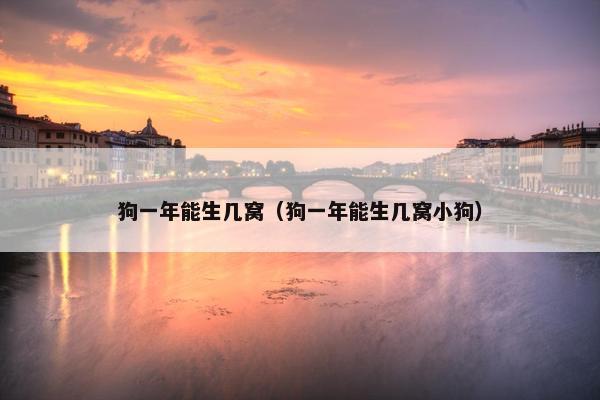 狗一年能生几窝(狗一年能生几窝小狗)