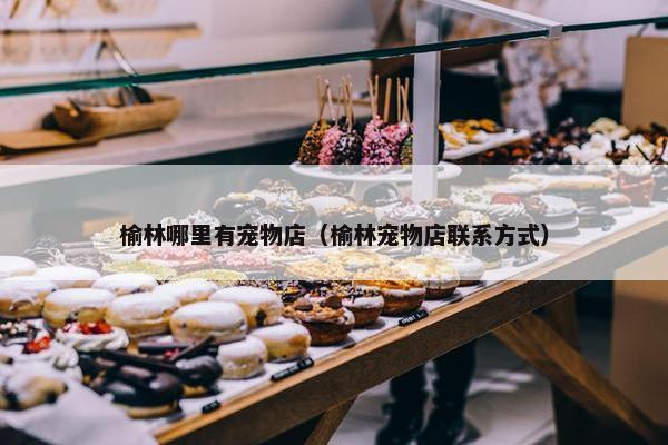 仓鼠 第4页