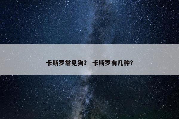 忠诚 第3页