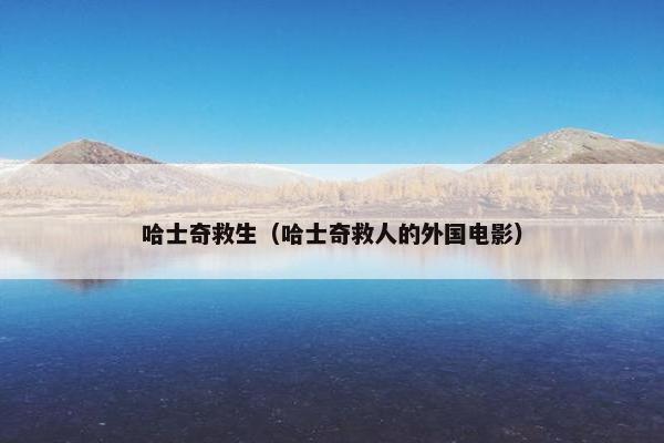 哈士奇救生（哈士奇救人的外国电影）