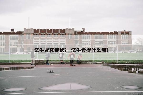 法牛肾衰症状？ 法牛爱得什么病？