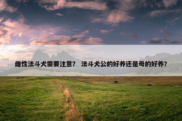雌性法斗犬需要注意？ 法斗犬公的好养还是母的好养？