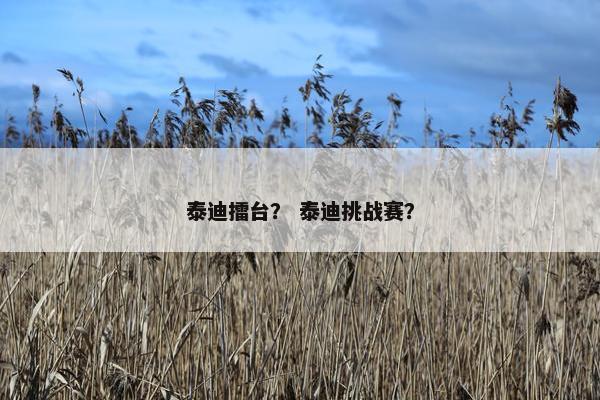 泰迪擂台？ 泰迪挑战赛？