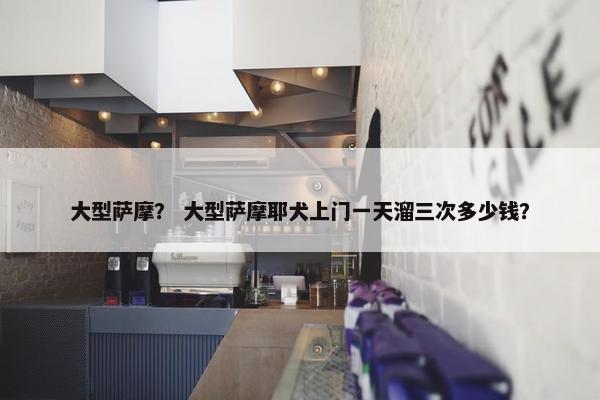 大型萨摩？ 大型萨摩耶犬上门一天溜三次多少钱？