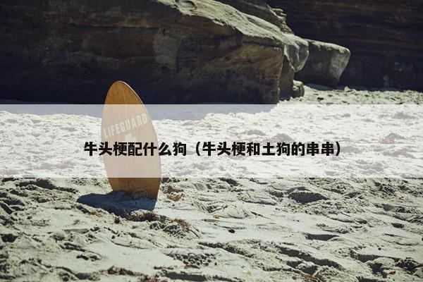 牛头梗配什么狗（牛头梗和土狗的串串）