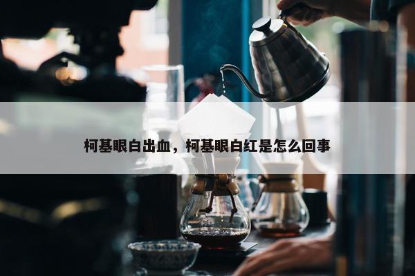 柯基眼白出血,柯基眼白红是怎么回事