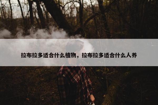拉布拉多适合什么植物，拉布拉多适合什么人养