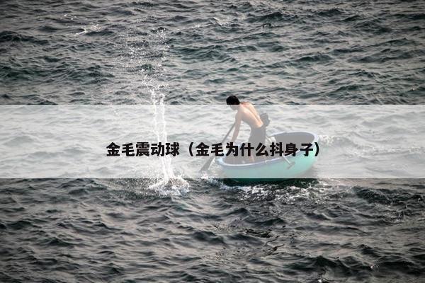 金毛震动球（金毛为什么抖身子）