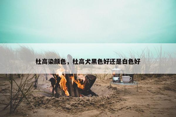 杜高染颜色，杜高犬黑色好还是白色好
