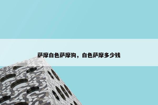萨摩白色萨摩狗，白色萨摩多少钱