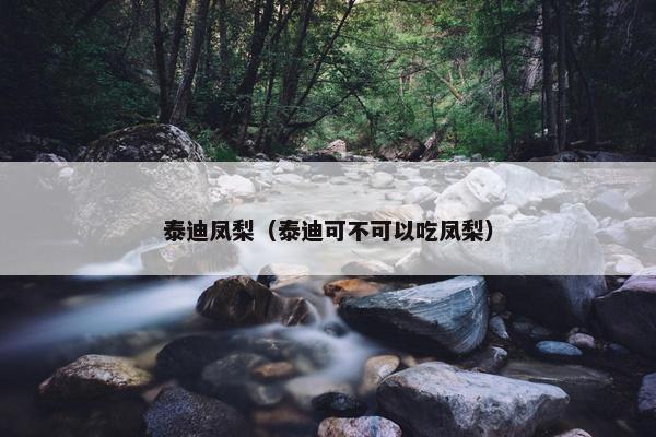 泰迪凤梨（泰迪可不可以吃凤梨）