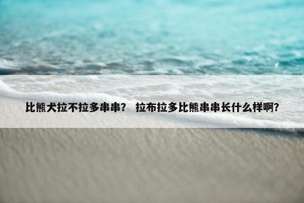 比熊犬拉不拉多串串？ 拉布拉多比熊串串长什么样啊？