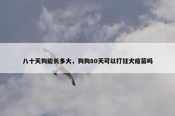 八十天狗能长多大，狗狗80天可以打狂犬疫苗吗