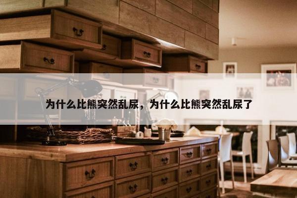为什么比熊突然乱尿，为什么比熊突然乱尿了