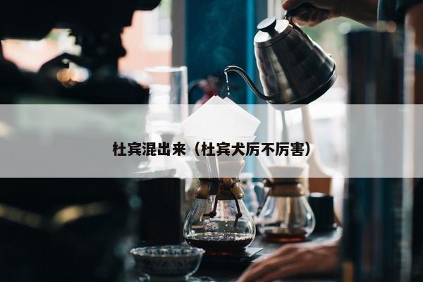 杜宾混出来(杜宾犬厉不厉害)