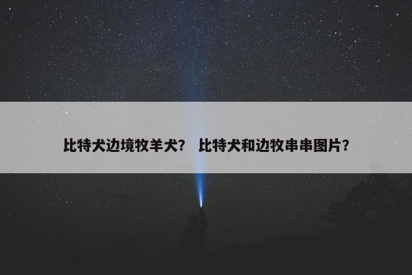 比特犬边境牧羊犬？ 比特犬和边牧串串图片？