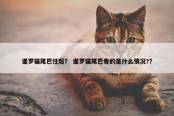 尾端