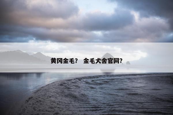 黄冈金毛？ 金毛犬舍官网？