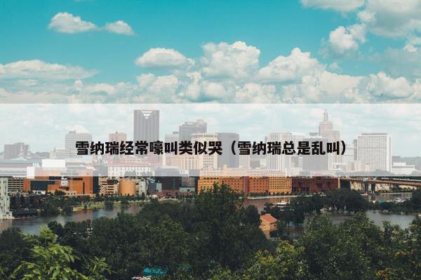 雪纳瑞经常嚎叫类似哭（雪纳瑞总是乱叫）