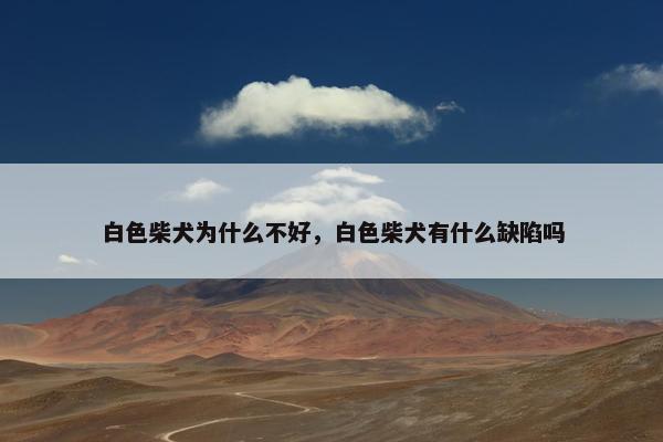 白色柴犬为什么不好，白色柴犬有什么缺陷吗