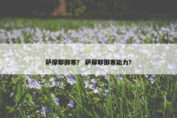 萨摩耶御寒？ 萨摩耶御寒能力？