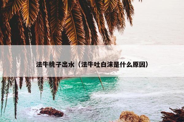 法牛桃子出水（法牛吐白沫是什么原因）
