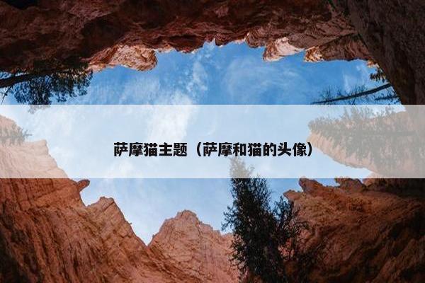 萨摩猫主题（萨摩和猫的头像）