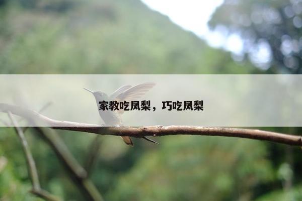 凤梨