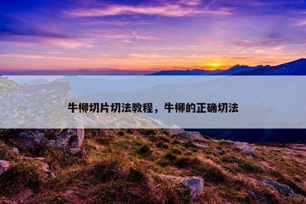 牛柳切片切法教程，牛柳的正确切法